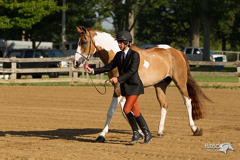 4H-2nd-Show-11_0784.jpg