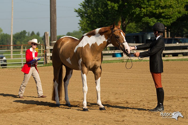 4H-2nd-Show-11_0785.jpg