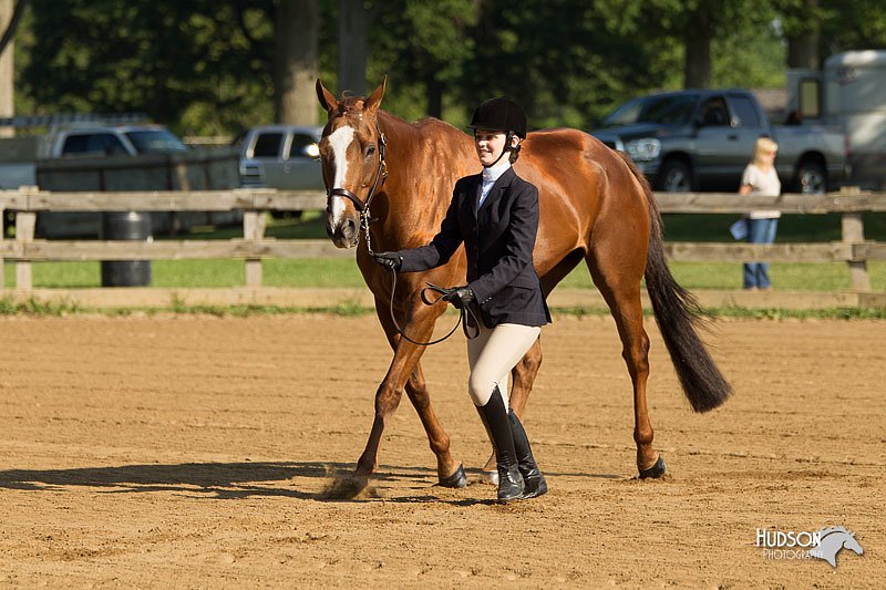 4H-2nd-Show-11_0789.jpg