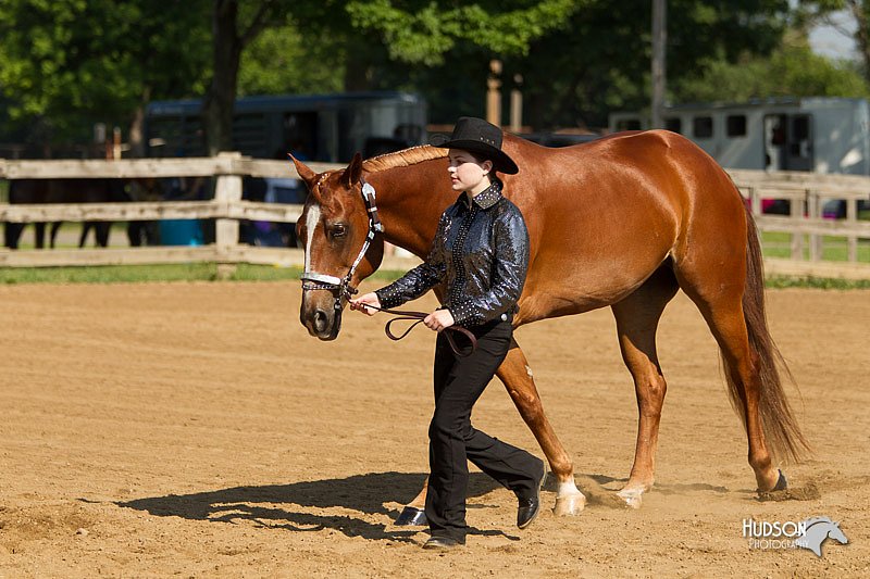 4H-2nd-Show-11_0966.jpg