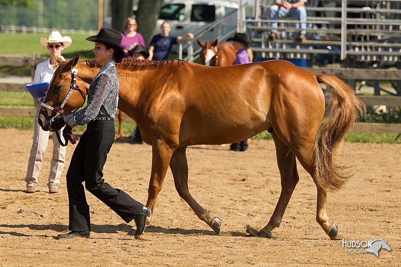 4H-2nd-Show-11_1062.jpg