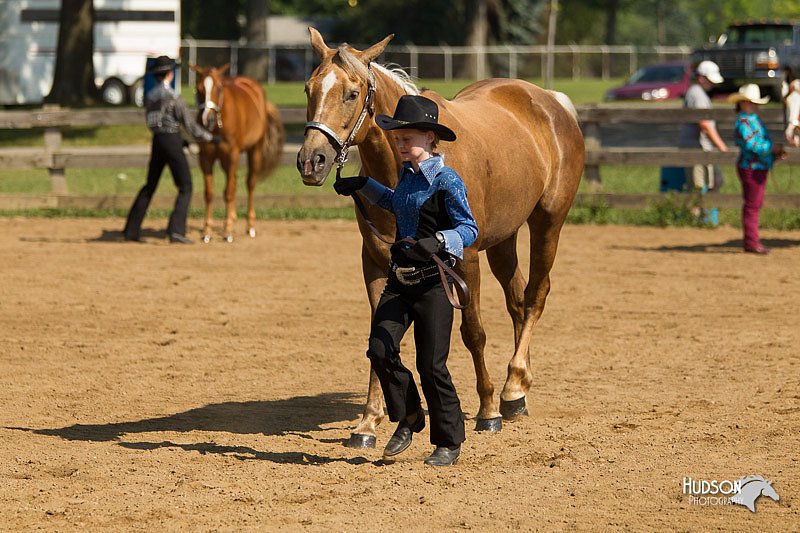 4H-2nd-Show-11_1067.jpg
