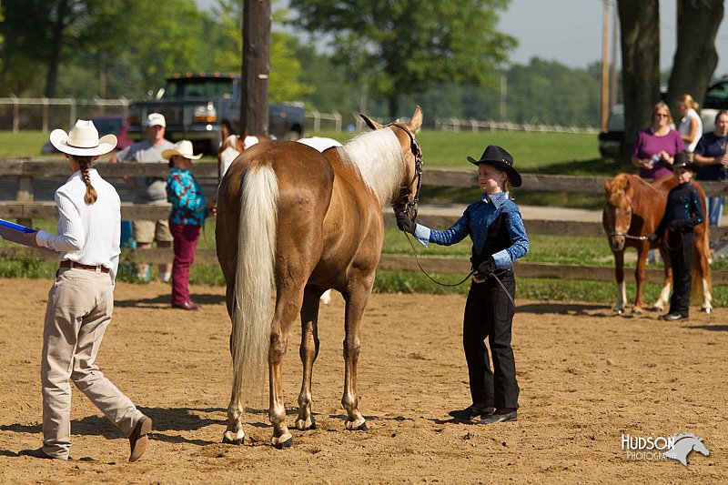 4H-2nd-Show-11_1072.jpg