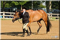 4H-2nd-Show-11_0756.jpg