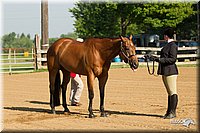 4H-2nd-Show-11_0758.jpg