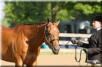 4H-2nd-Show-11_0759.jpg