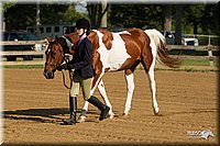 4H-2nd-Show-11_0764.jpg