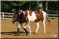 4H-2nd-Show-11_0765.jpg