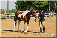 4H-2nd-Show-11_0766.jpg