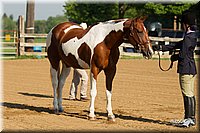 4H-2nd-Show-11_0768.jpg