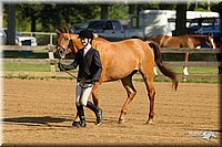 4H-2nd-Show-11_0772.jpg