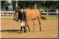 4H-2nd-Show-11_0774.jpg