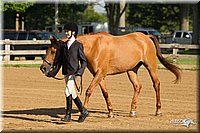 4H-2nd-Show-11_0775.jpg