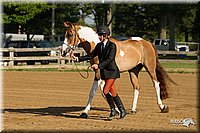 4H-2nd-Show-11_0784.jpg