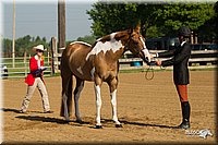 4H-2nd-Show-11_0785.jpg