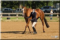 4H-2nd-Show-11_0789.jpg