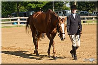 4H-2nd-Show-11_0797.jpg