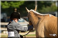 4H-2nd-Show-11_0873.jpg