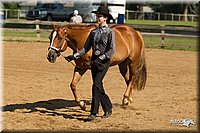 4H-2nd-Show-11_1065.jpg