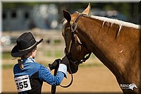 4H-2nd-Show-11_1070.jpg