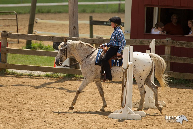 4H-2nd-Show-11_1445.jpg