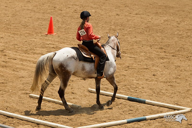 4H-2nd-Show-11_1457.jpg