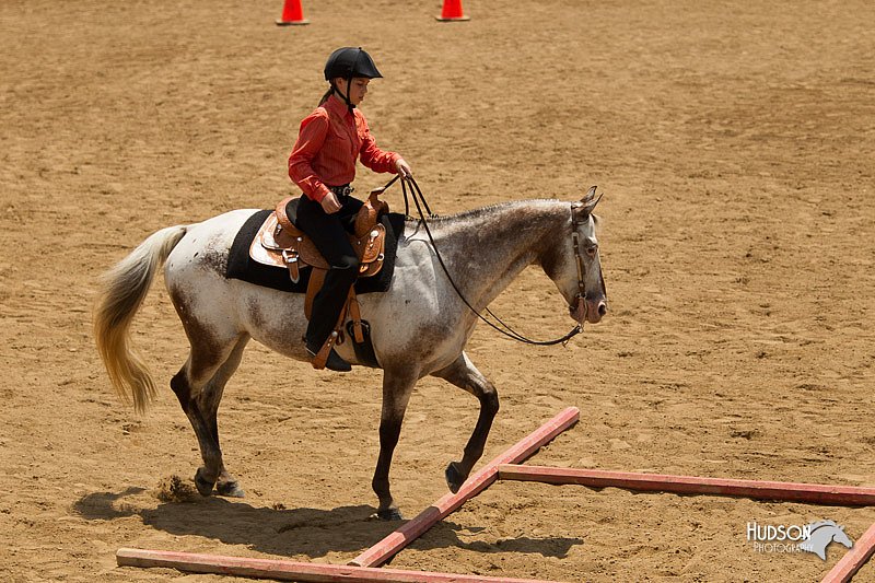 4H-2nd-Show-11_1459.jpg