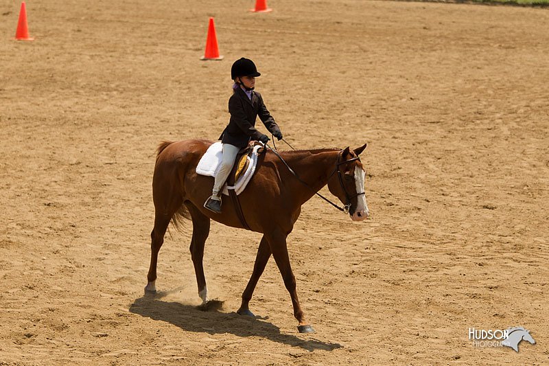 4H-2nd-Show-11_1462.jpg