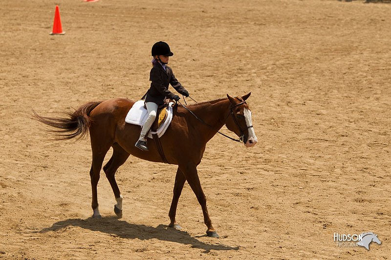 4H-2nd-Show-11_1463.jpg