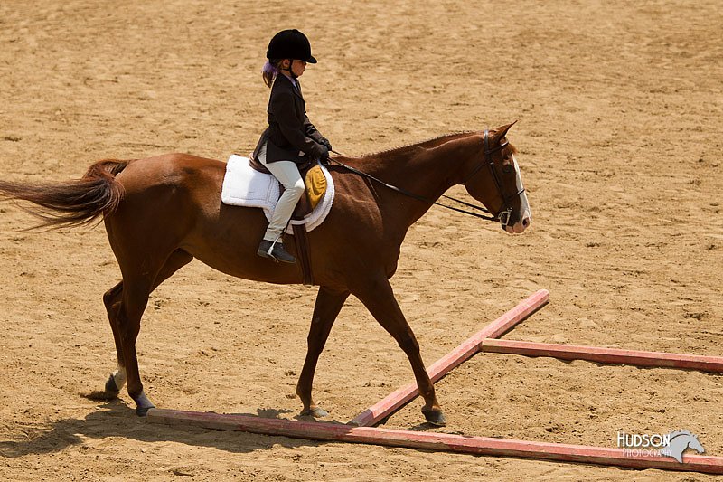 4H-2nd-Show-11_1464.jpg