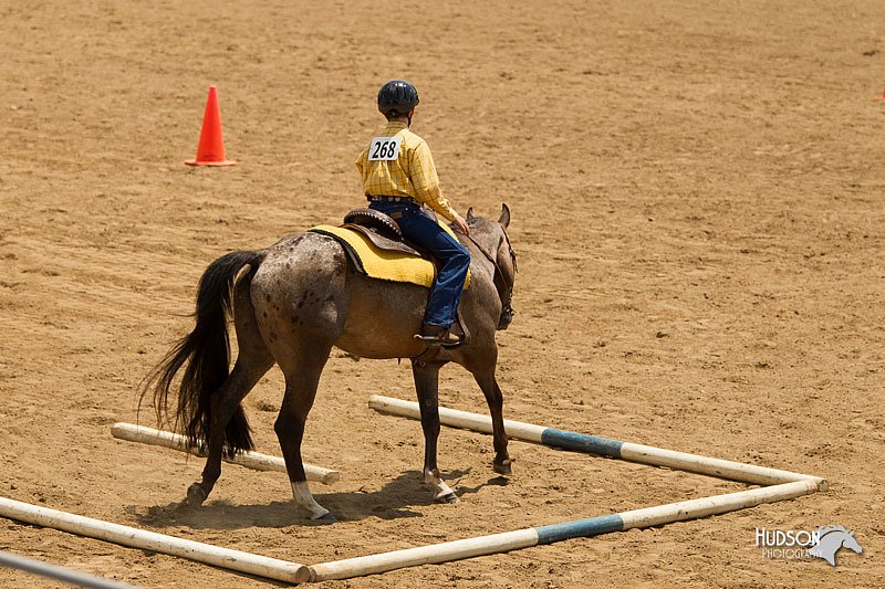 4H-2nd-Show-11_1467.jpg