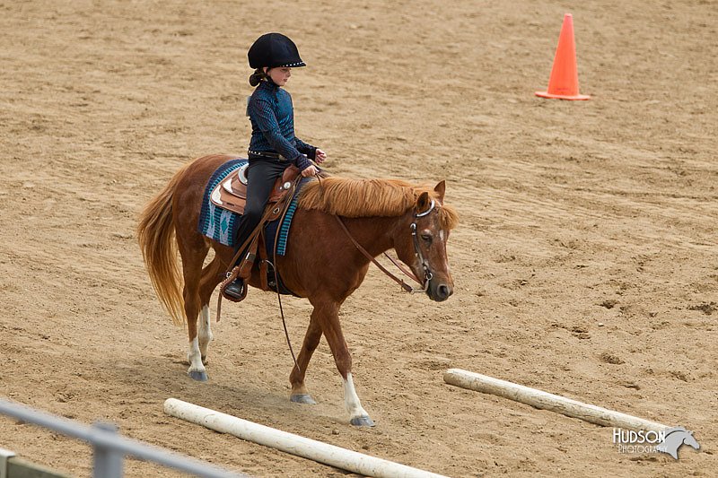 4H-2nd-Show-11_1478.jpg