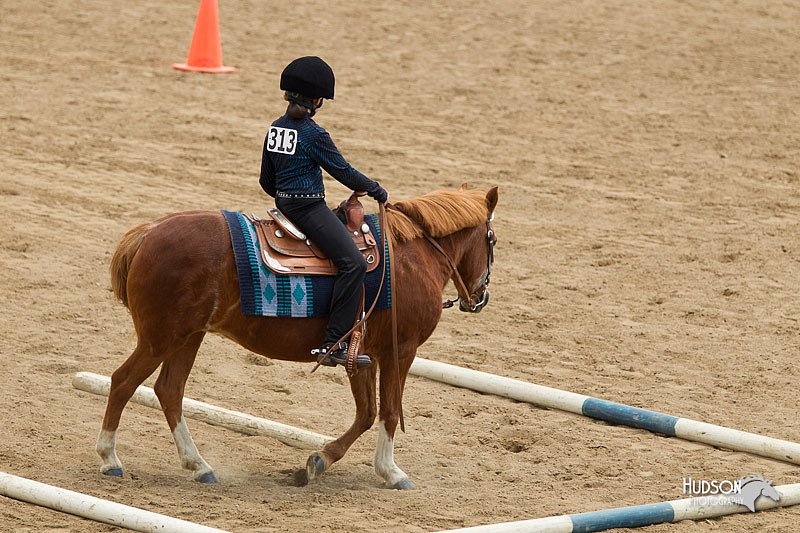 4H-2nd-Show-11_1479.jpg