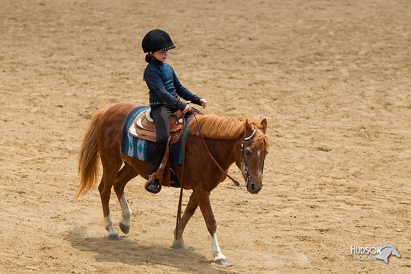 4H-2nd-Show-11_1481.jpg