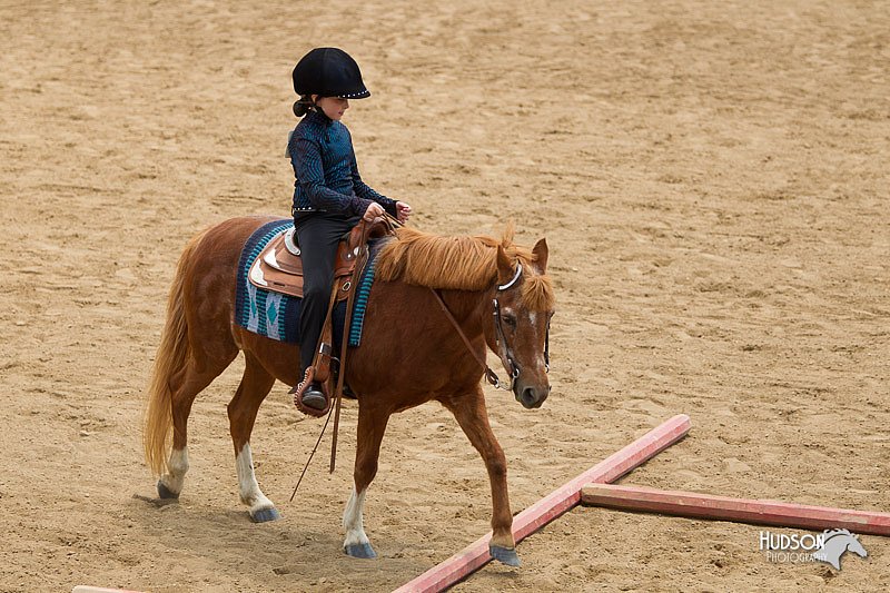 4H-2nd-Show-11_1482.jpg
