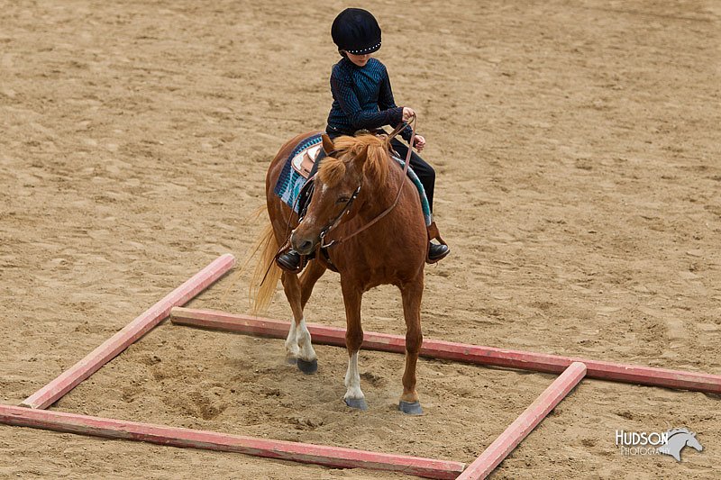4H-2nd-Show-11_1483.jpg