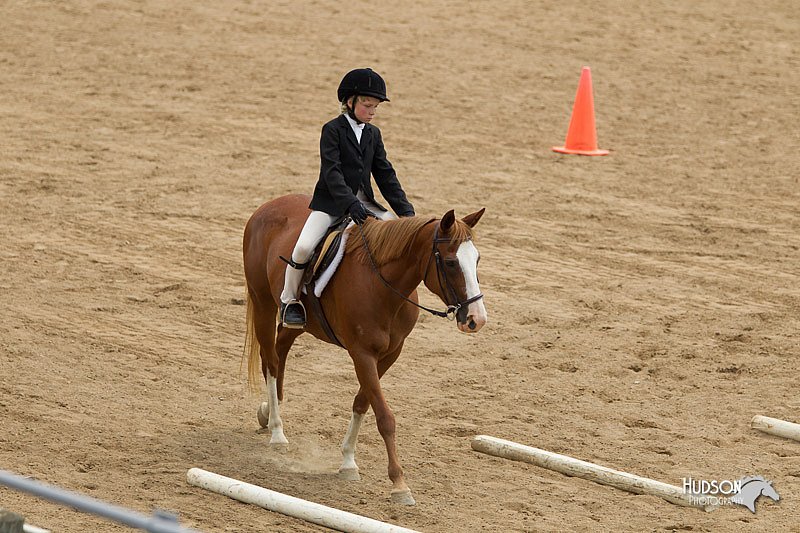4H-2nd-Show-11_1492.jpg