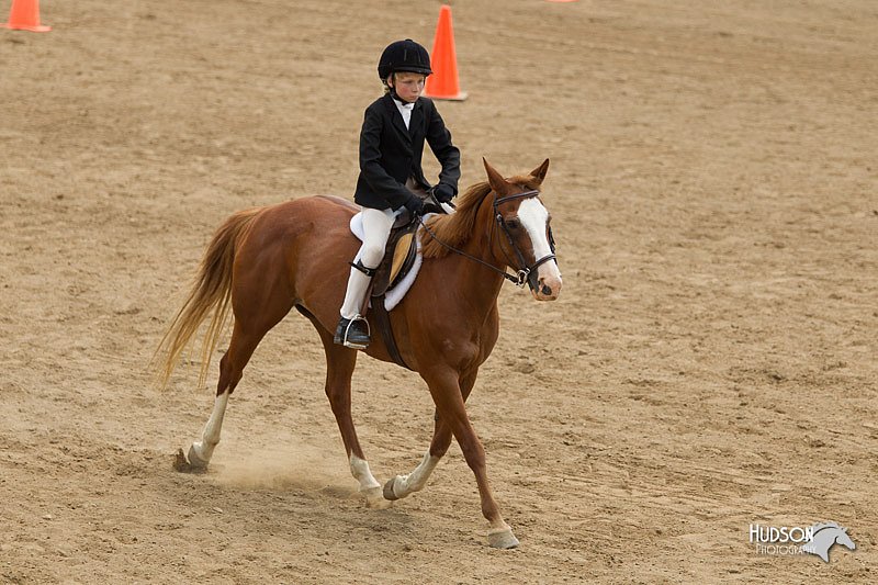 4H-2nd-Show-11_1494.jpg