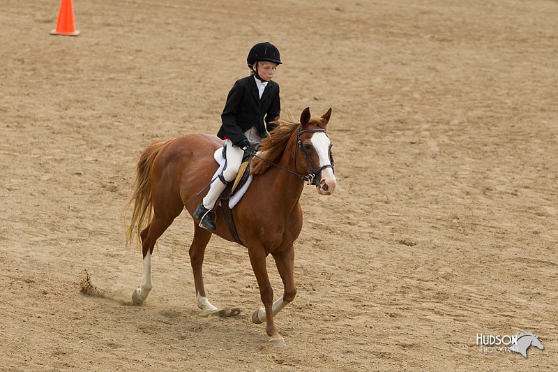 4H-2nd-Show-11_1495.jpg