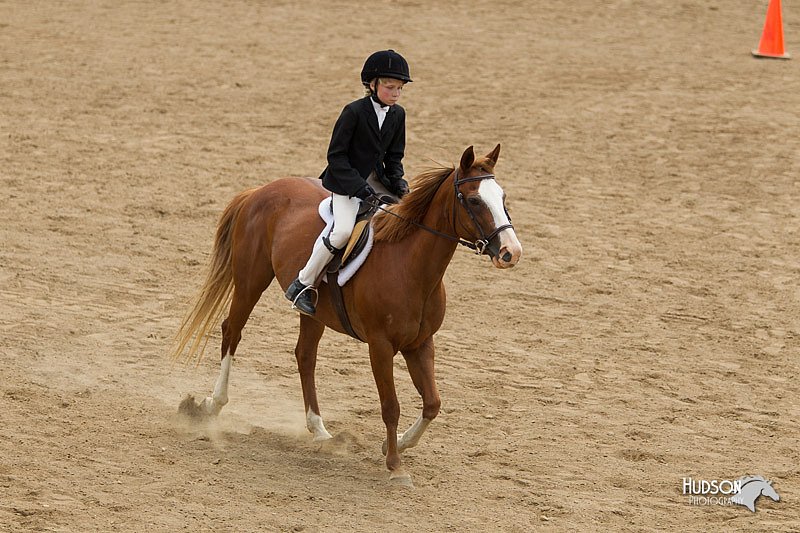 4H-2nd-Show-11_1496.jpg