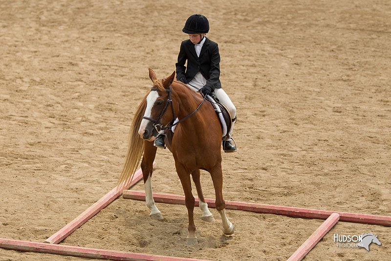 4H-2nd-Show-11_1498.jpg