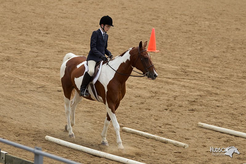 4H-2nd-Show-11_1500.jpg