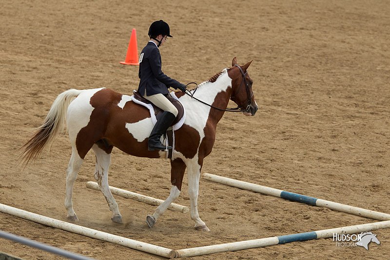 4H-2nd-Show-11_1501.jpg