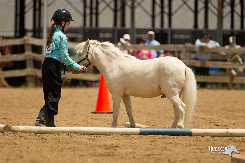 4H-2nd-Show-11_1511.jpg