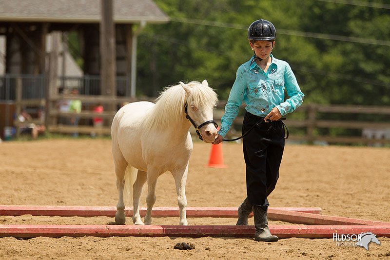 4H-2nd-Show-11_1520.jpg