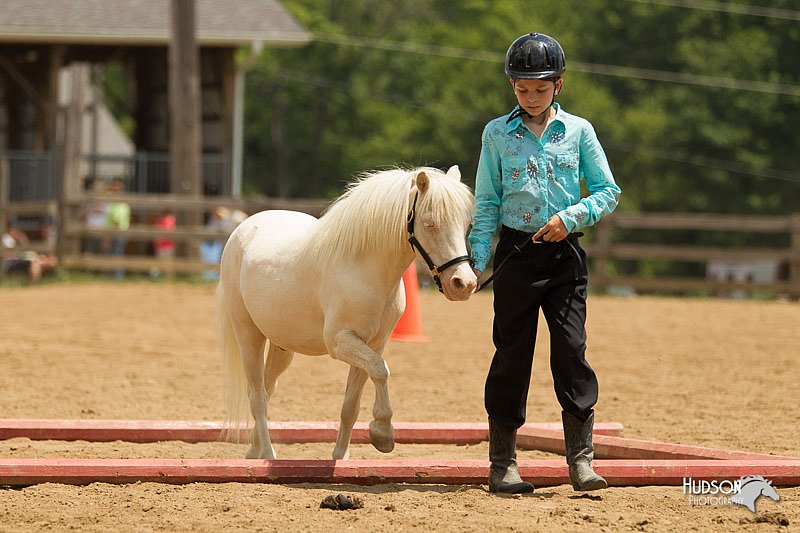4H-2nd-Show-11_1521.jpg