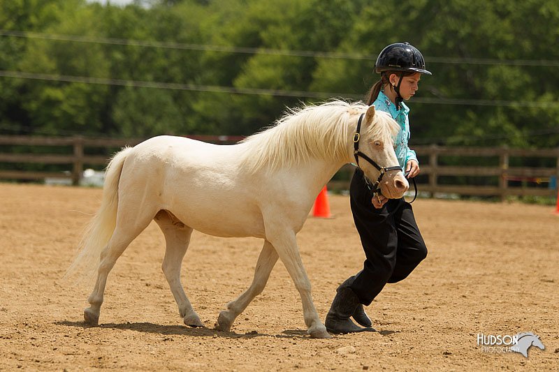 4H-2nd-Show-11_1522.jpg