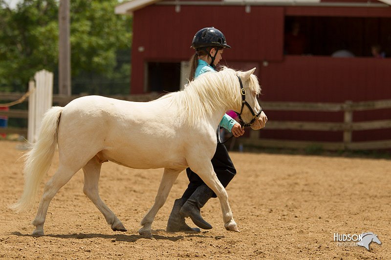 4H-2nd-Show-11_1523.jpg