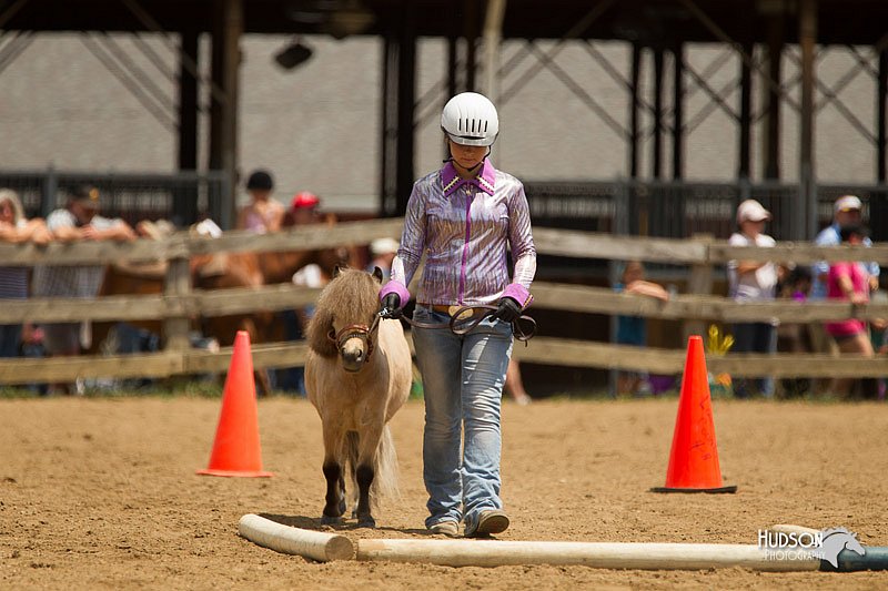 4H-2nd-Show-11_1527.jpg