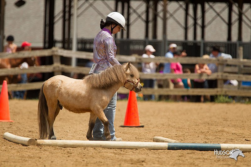 4H-2nd-Show-11_1528.jpg